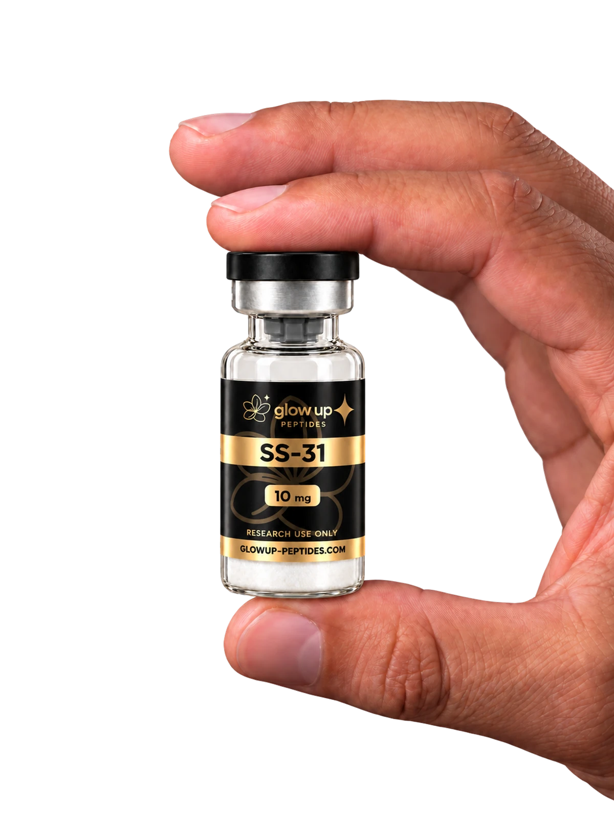 SS-31 in der Hand